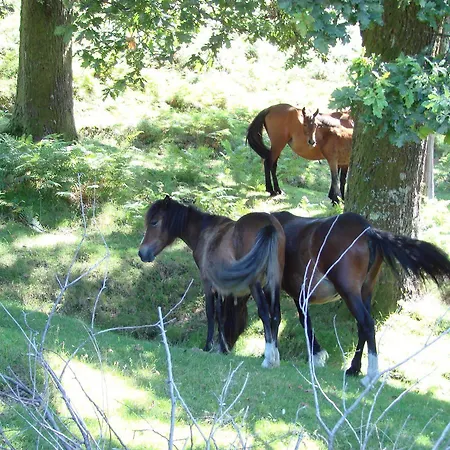 Beleza Serra Guide 酒店 Admeus