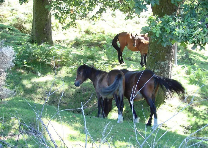 Beleza Serra Guide Hotel Admeus